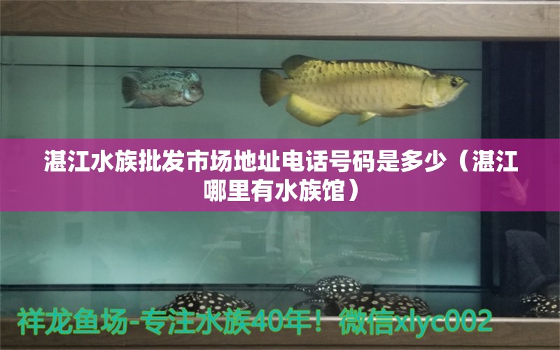 湛江水族批发市场地址电话号码是多少（湛江哪里有水族馆）