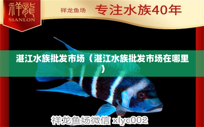 湛江水族批发市场（湛江水族批发市场在哪里）