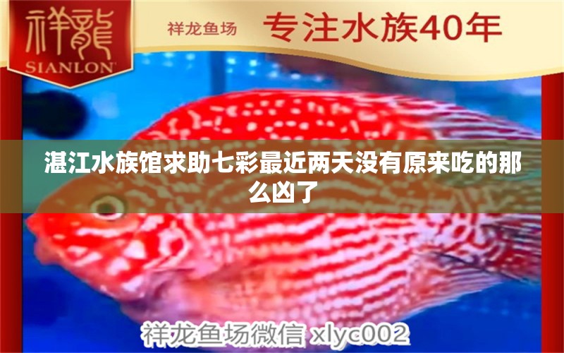 湛江水族馆求助七彩最近两天没有原来吃的那么凶了