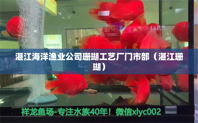 湛江海洋渔业公司珊瑚工艺厂门市部（湛江珊瑚） 全国水族馆企业名录