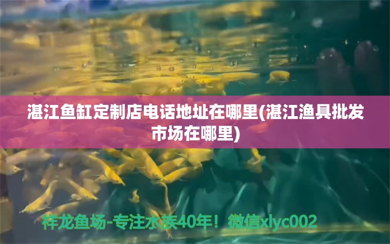 湛江鱼缸定制店电话地址在哪里(湛江渔具批发市场在哪里) 蝴蝶鲤鱼苗 第2张