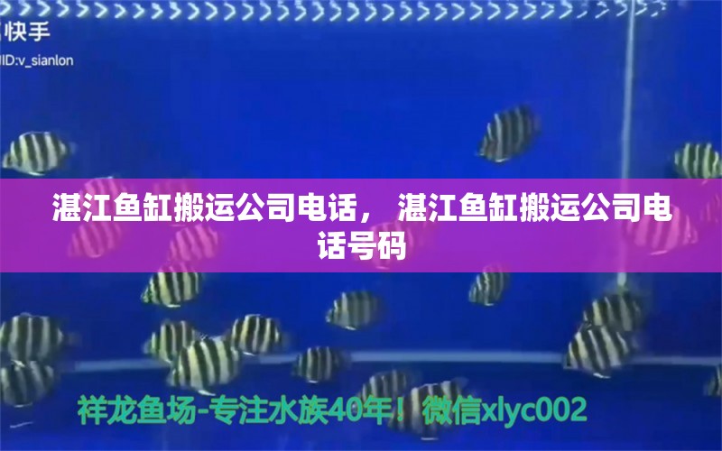 湛江鱼缸搬运公司电话， 湛江鱼缸搬运公司电话号码 全国观赏鱼市场