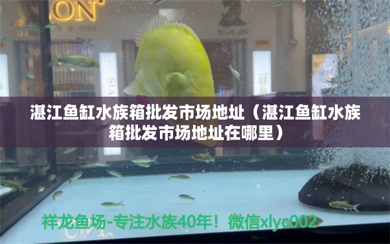 湛江鱼缸水族箱批发市场地址（湛江鱼缸水族箱批发市场地址在哪里） 鱼缸/水族箱