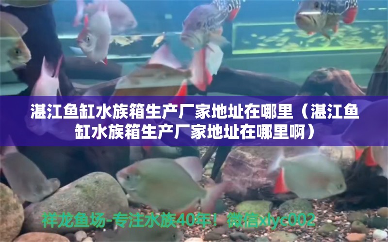 湛江鱼缸水族箱生产厂家地址在哪里（湛江鱼缸水族箱生产厂家地址在哪里啊） 鱼缸/水族箱