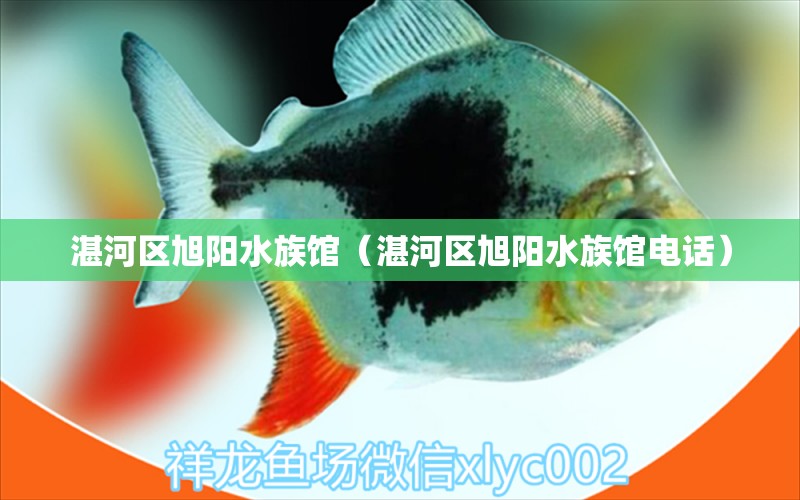 湛河区旭阳水族馆（湛河区旭阳水族馆电话）