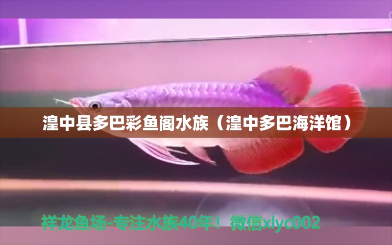 湟中县多巴彩鱼阁水族（湟中多巴海洋馆）