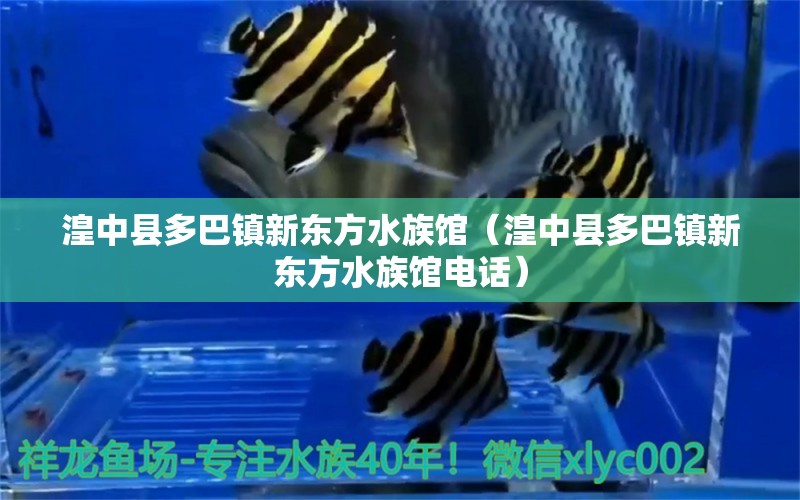 湟中县多巴镇新东方水族馆（湟中县多巴镇新东方水族馆电话） 全国水族馆企业名录