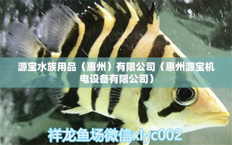 源宝水族用品（惠州）有限公司（惠州源宝机电设备有限公司） 水族用品