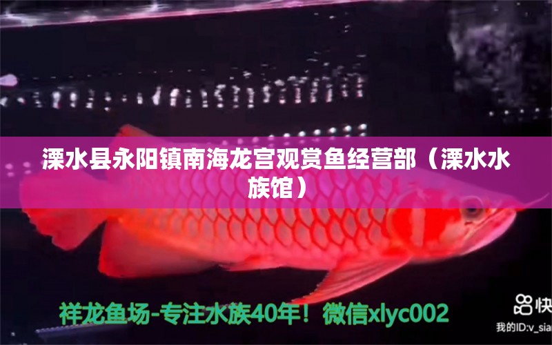 溧水县永阳镇南海龙宫观赏鱼经营部（溧水水族馆）