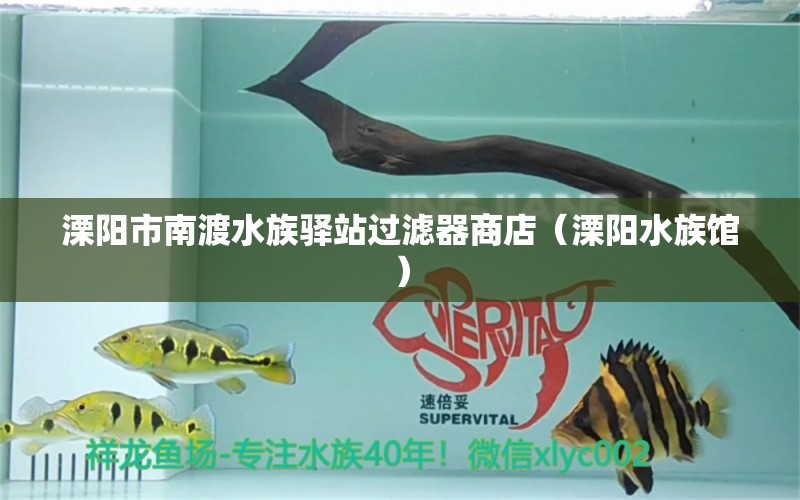 溧阳市南渡水族驿站过滤器商店（溧阳水族馆） 全国水族馆企业名录