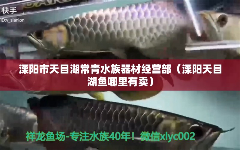 溧阳市天目湖常青水族器材经营部（溧阳天目湖鱼哪里有卖）