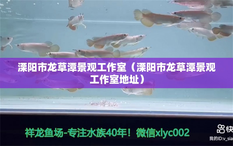 溧阳市龙草潭景观工作室（溧阳市龙草潭景观工作室地址） 全国水族馆企业名录