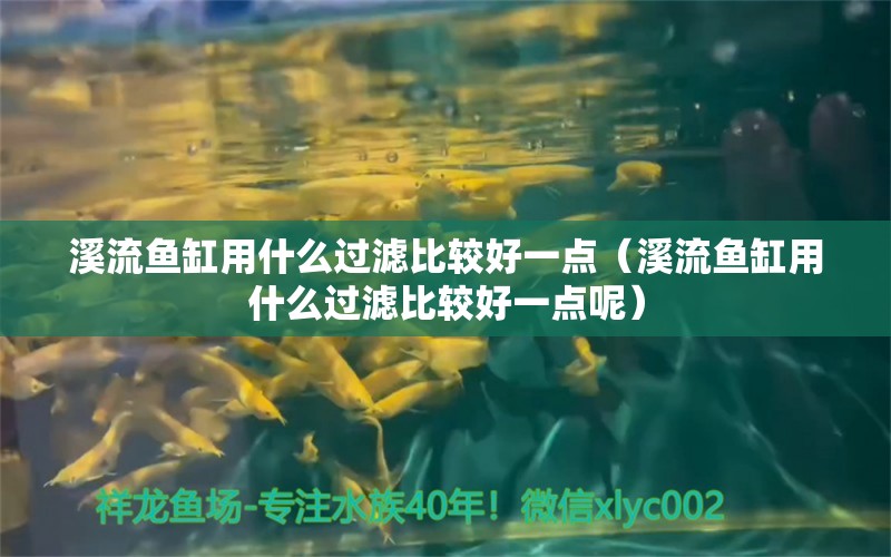 水族知识