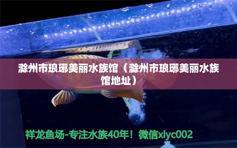 滁州市琅琊美丽水族馆（滁州市琅琊美丽水族馆地址）