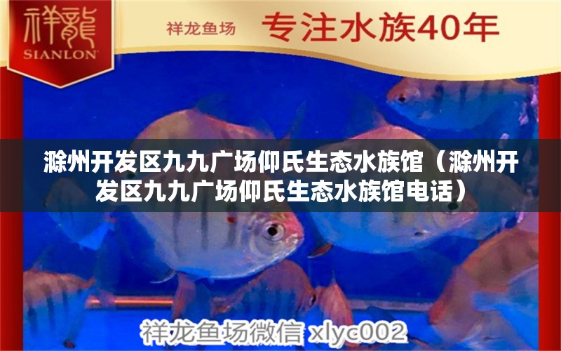 滁州开发区九九广场仰氏生态水族馆（滁州开发区九九广场仰氏生态水族馆电话） 全国水族馆企业名录