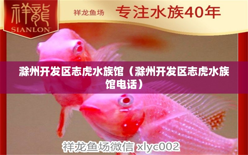 滁州开发区志虎水族馆（滁州开发区志虎水族馆电话）