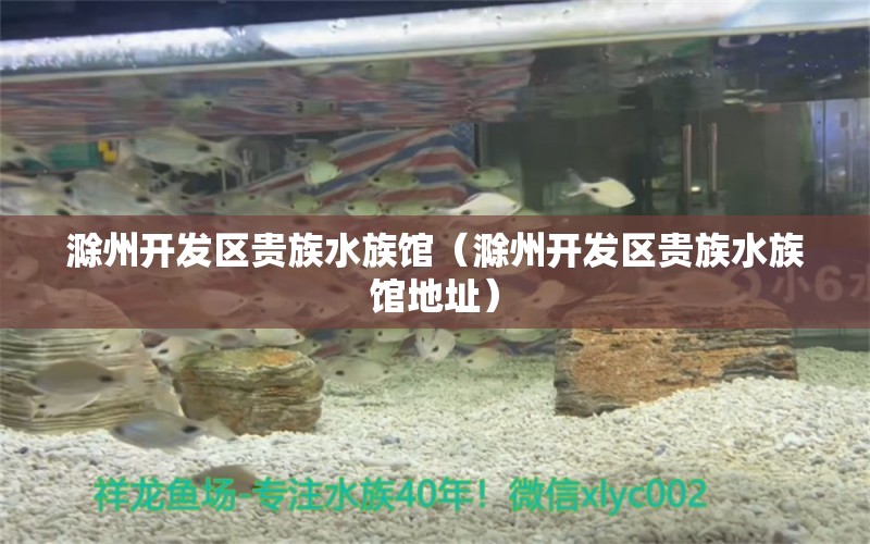 滁州开发区贵族水族馆（滁州开发区贵族水族馆地址）