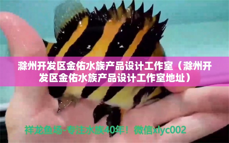 滁州开发区金佑水族产品设计工作室（滁州开发区金佑水族产品设计工作室地址）