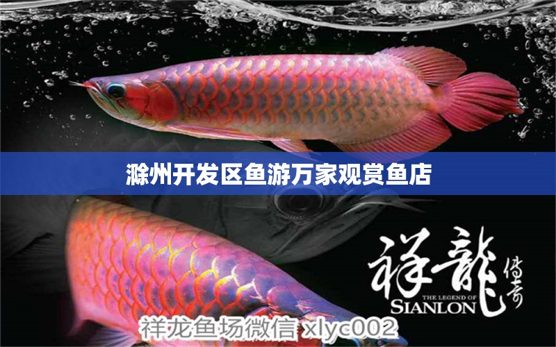 滁州开发区鱼游万家观赏鱼店 全国水族馆企业名录