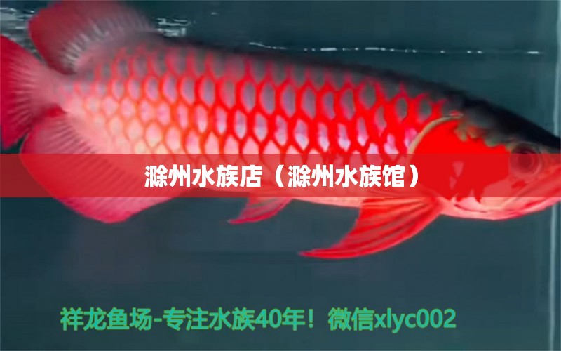 滁州水族店（滁州水族馆）