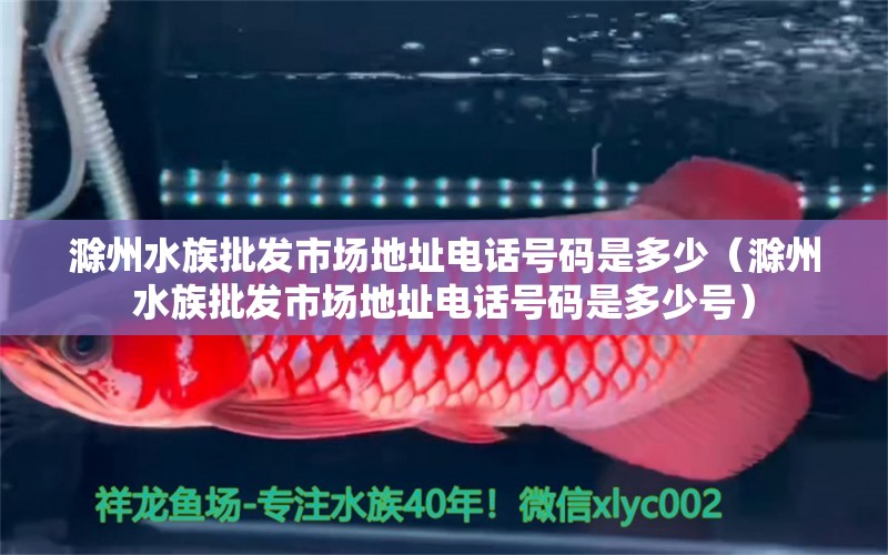 滁州水族批发市场地址电话号码是多少（滁州水族批发市场地址电话号码是多少号）