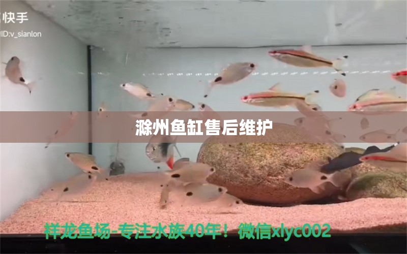 滁州鱼缸售后维护