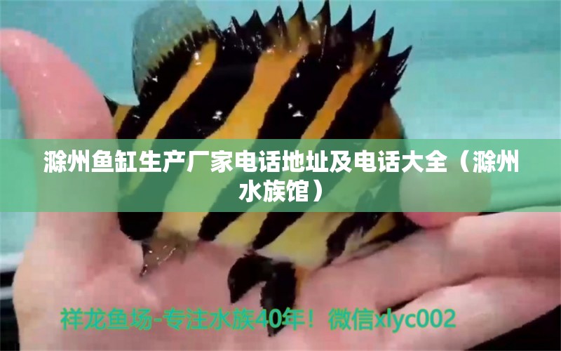 滁州鱼缸生产厂家电话地址及电话大全（滁州水族馆） 广州观赏鱼批发市场