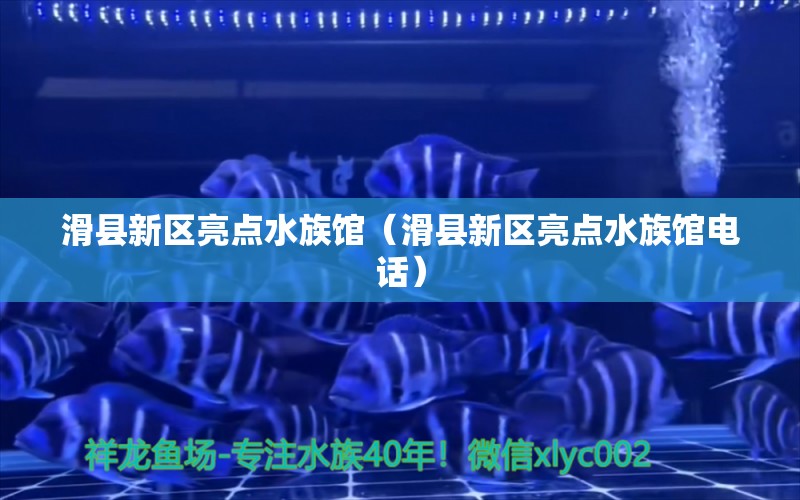 滑县新区亮点水族馆（滑县新区亮点水族馆电话） 全国水族馆企业名录