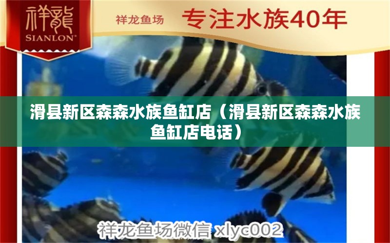 滑县新区森森水族鱼缸店（滑县新区森森水族鱼缸店电话）