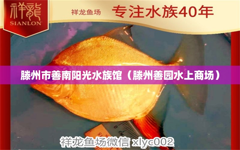 滕州市善南阳光水族馆（滕州善园水上商场）