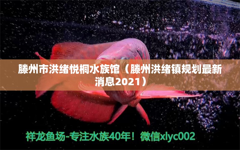 滕州市洪绪悦桐水族馆（滕州洪绪镇规划最新消息2021） 全国水族馆企业名录