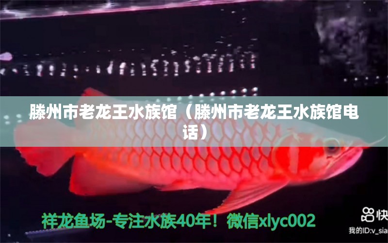 滕州市老龙王水族馆（滕州市老龙王水族馆电话）