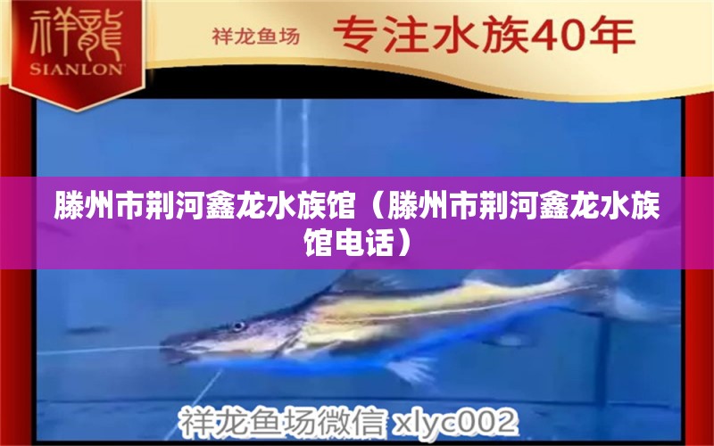 滕州市荆河鑫龙水族馆（滕州市荆河鑫龙水族馆电话） 全国水族馆企业名录