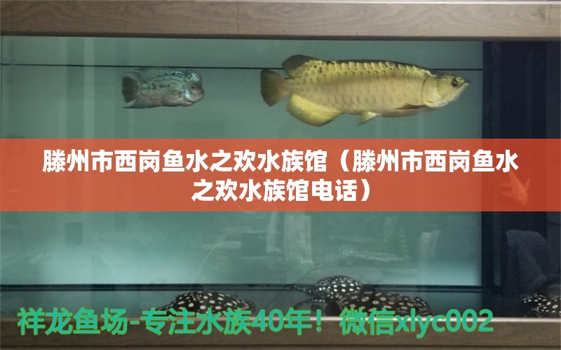 滕州市西岗鱼水之欢水族馆（滕州市西岗鱼水之欢水族馆电话）