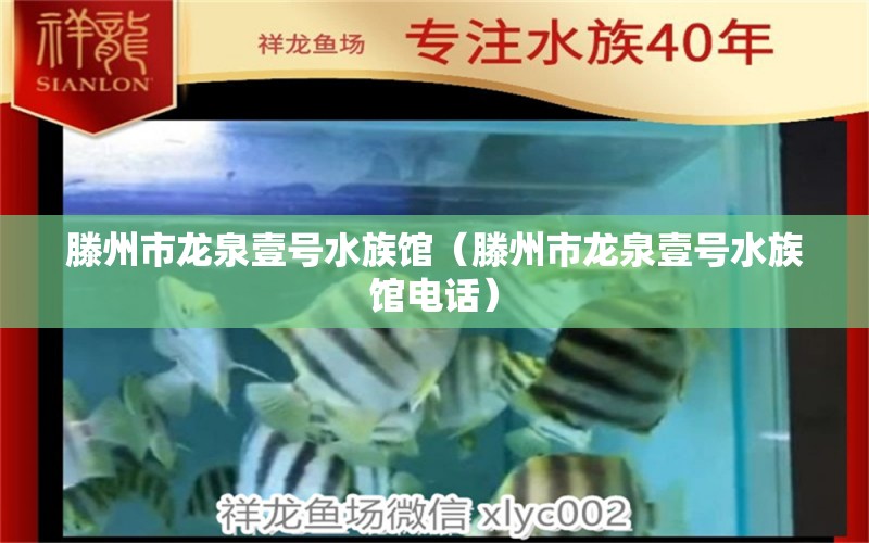 滕州市龙泉壹号水族馆（滕州市龙泉壹号水族馆电话）