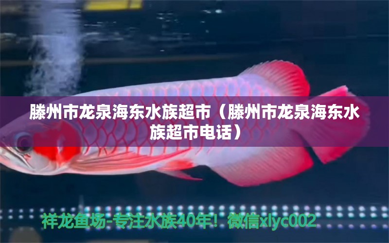 滕州市龙泉海东水族超市（滕州市龙泉海东水族超市电话）