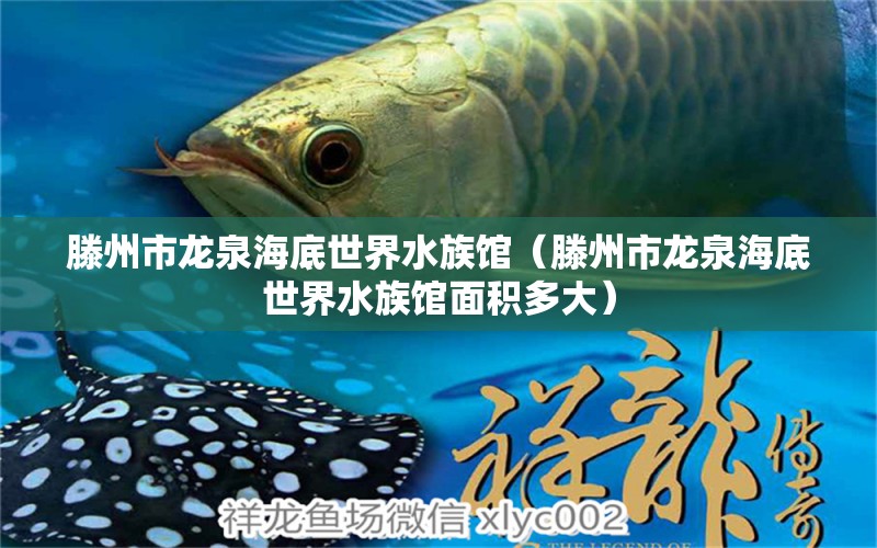 滕州市龙泉海底世界水族馆（滕州市龙泉海底世界水族馆面积多大）