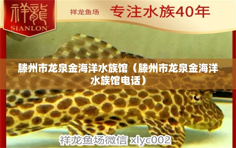 滕州市龙泉金海洋水族馆（滕州市龙泉金海洋水族馆电话）