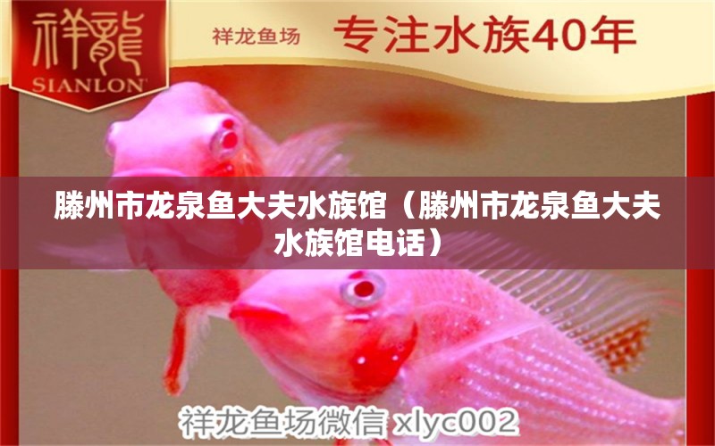 滕州市龙泉鱼大夫水族馆（滕州市龙泉鱼大夫水族馆电话） 全国水族馆企业名录