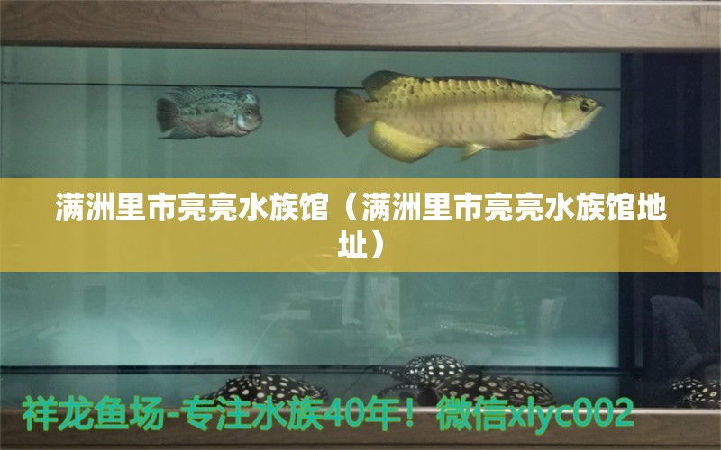 满洲里市亮亮水族馆（满洲里市亮亮水族馆地址）