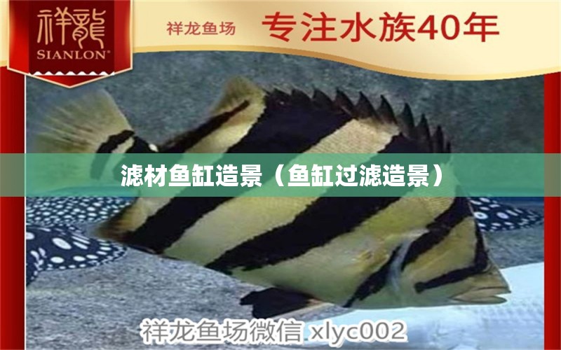 滤材鱼缸造景（鱼缸过滤造景） 祥龙水族护理水 第1张