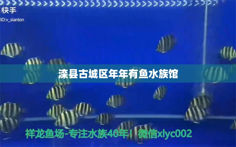 滦县古城区年年有鱼水族馆