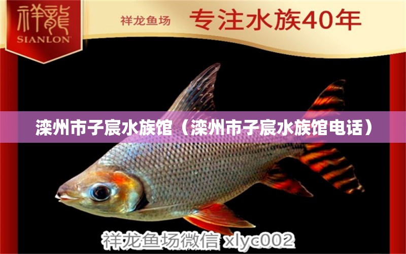 滦州市子宸水族馆（滦州市子宸水族馆电话） 全国水族馆企业名录