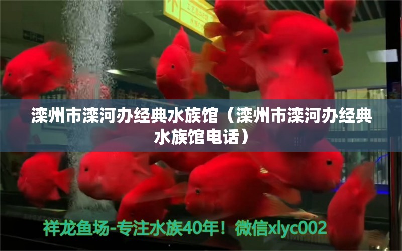 滦州市滦河办经典水族馆（滦州市滦河办经典水族馆电话）