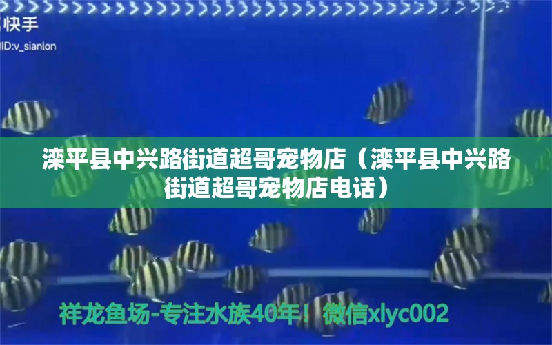 滦平县中兴路街道超哥宠物店（滦平县中兴路街道超哥宠物店电话）