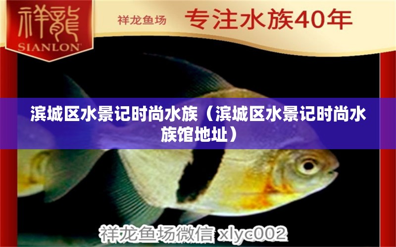 滨城区水景记时尚水族（滨城区水景记时尚水族馆地址） 全国水族馆企业名录