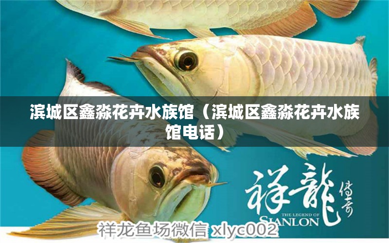 滨城区鑫淼花卉水族馆（滨城区鑫淼花卉水族馆电话） 全国水族馆企业名录