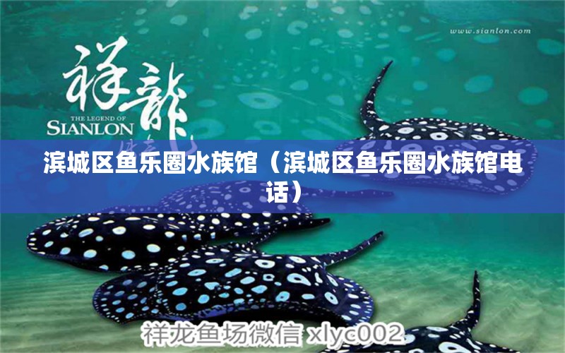 滨城区鱼乐圈水族馆（滨城区鱼乐圈水族馆电话）