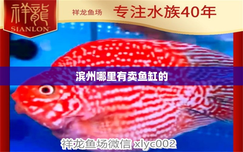 滨州哪里有卖鱼缸的 其他品牌鱼缸