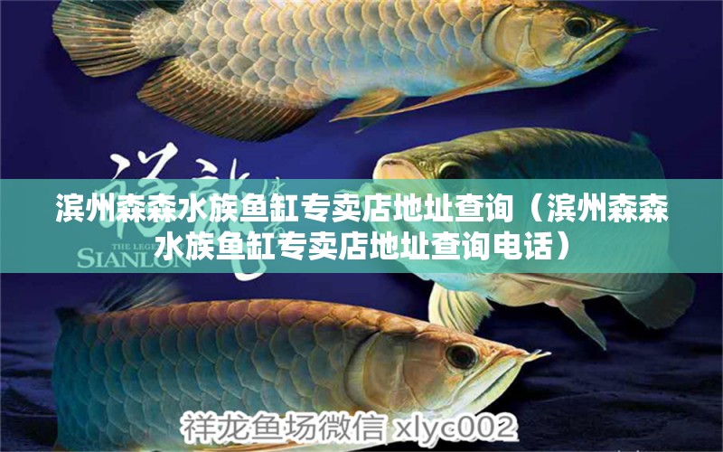 滨州森森水族鱼缸专卖店地址查询（滨州森森水族鱼缸专卖店地址查询电话）